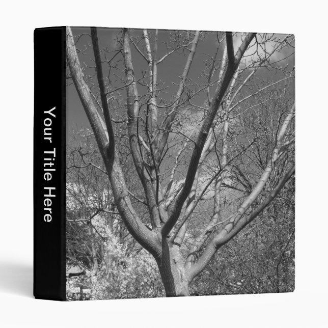 Sun Worshipping Tree Binder (Front/Spine)