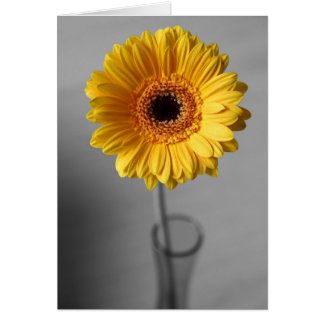 Sun Yellow Gerbera Cards