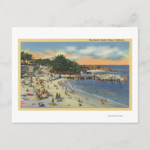Sunbathers & Swimmers at the Beach Postcard