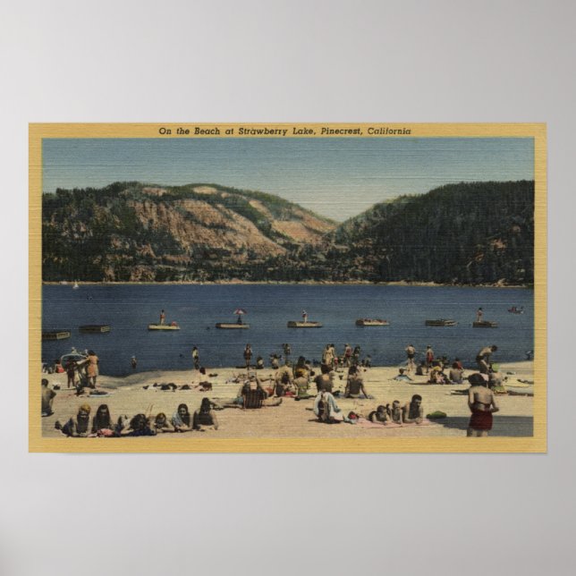 Sunbathers & Swimmers on the Beach Poster (Front)