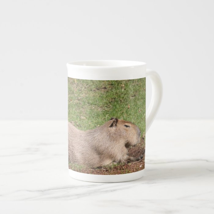 Sunbathing Capybara Porcelain Mug