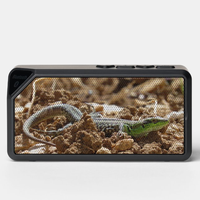 Sunbathing Dalmatian Lizard in Natural Habitat  Bluetooth Speaker (Front)