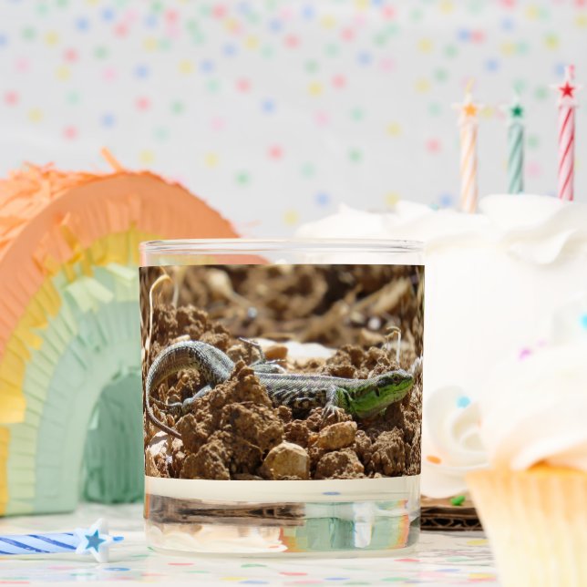 Sunbathing Dalmatian Lizard in Natural Habitat  Scented Candle (Birthday)