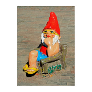 Sunbathing garden gnome acrylic print