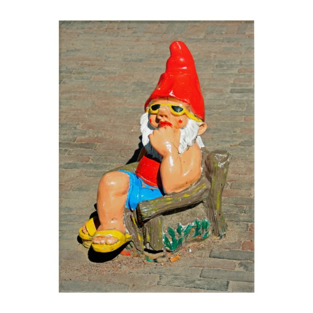 Sunbathing garden gnome acrylic print (Front)