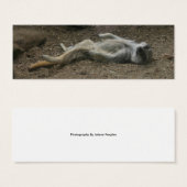 Sunbathing Meerkat Bookmark (Front & Back)