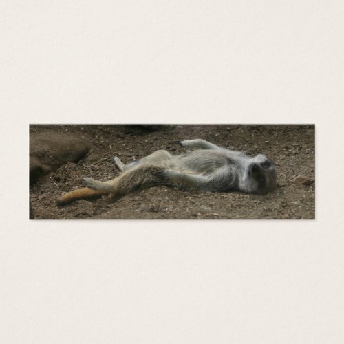 Sunbathing Meerkat Bookmark Business Card