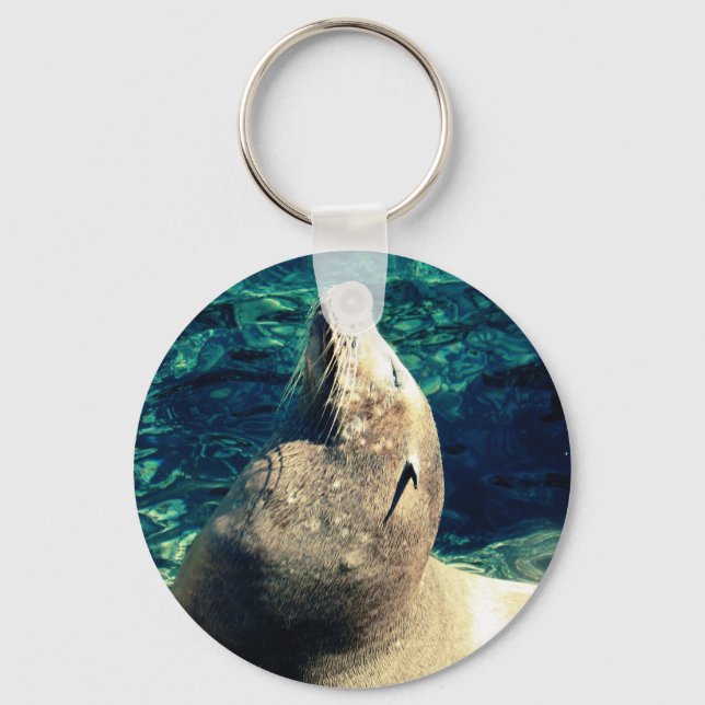 Sunbathing Sea Lion Keychain (Front)