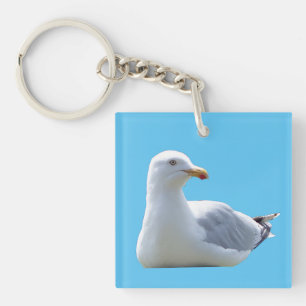 Sunbathing Seagull Relaxing Ocean Wildlife Summer  Keychain