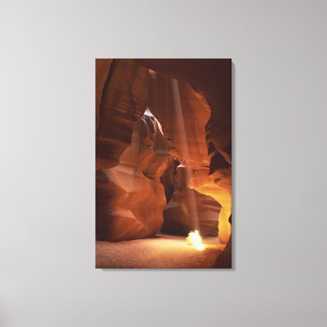 Sunbeam hitting tumbleweed on canyon floor canvas print (Front)