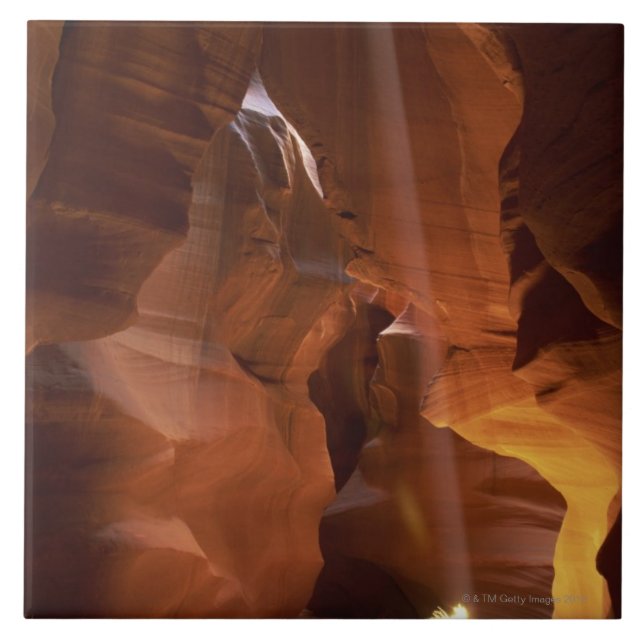 Sunbeam hitting tumbleweed on canyon floor ceramic tile (Front)