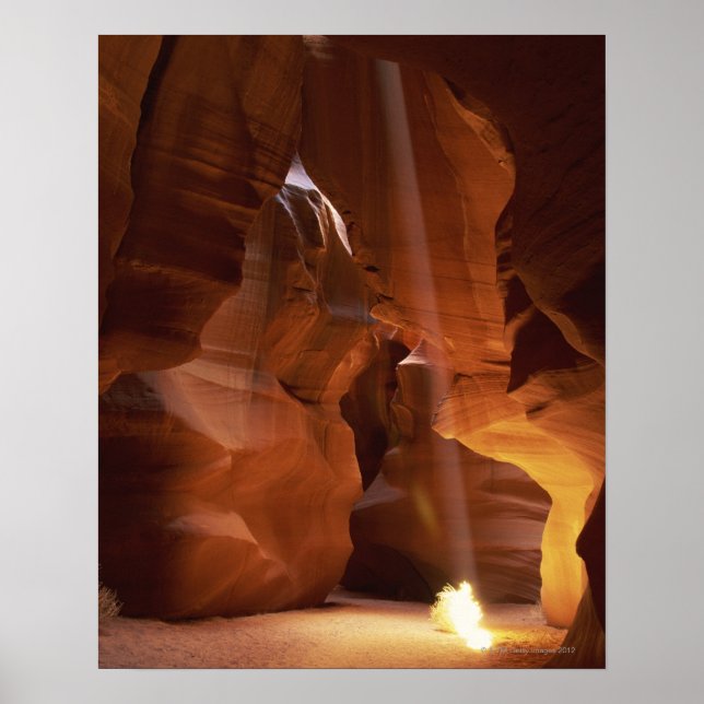 Sunbeam hitting tumbleweed on canyon floor poster (Front)