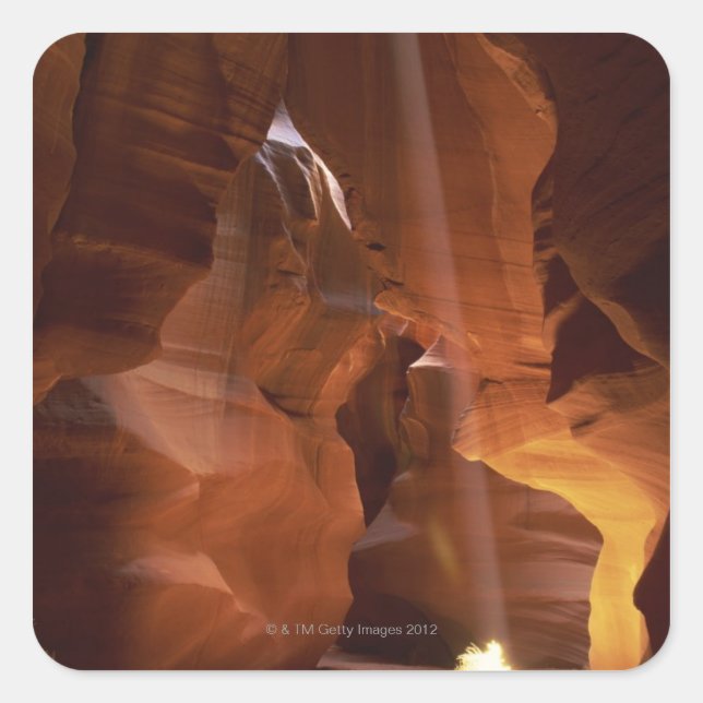 Sunbeam hitting tumbleweed on canyon floor square sticker (Front)