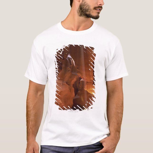 Sunbeam hitting tumbleweed on canyon floor T-Shirt (Front)