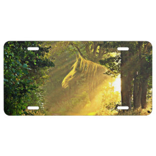 Sunbeam horse license plate