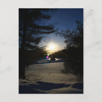 Sunbeams and Daydreams Postcard