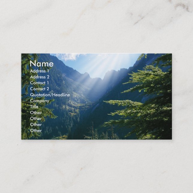 Sunbeams business card (Front)