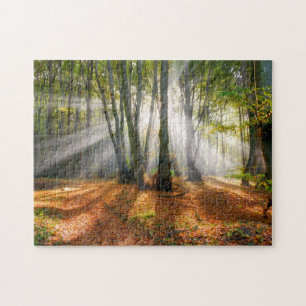 Sunbeams in a misty beech tree forest in autumn - jigsaw puzzle