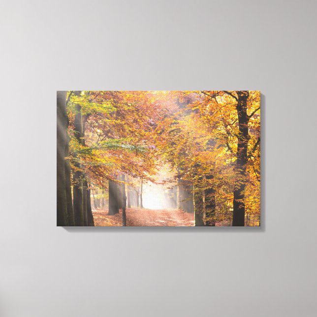Sunbeams in an autumn forest canvas print (Front)