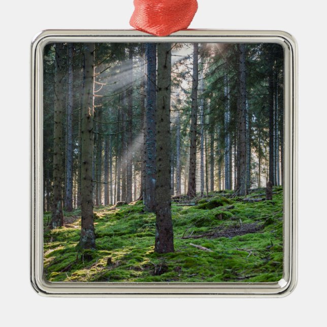 Sunbeams in the Black Forest Metal Ornament (Front)
