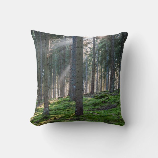 Sunbeams in the Black Forest Throw Pillow (Front)