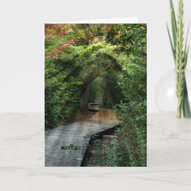 Sunbeams in Woods Sympathy  Card (Front)