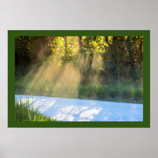 Sunbeams through the Trees Poster