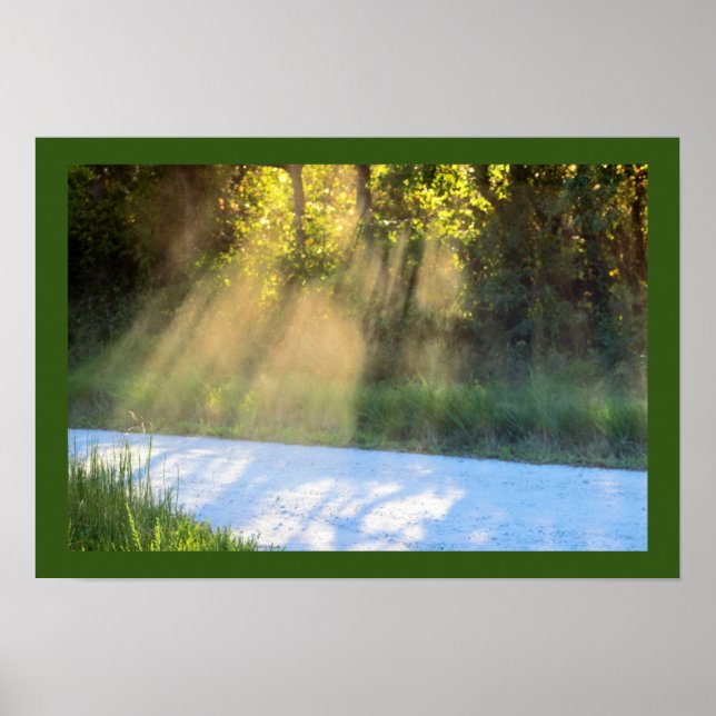 Sunbeams through the Trees Poster (Front)