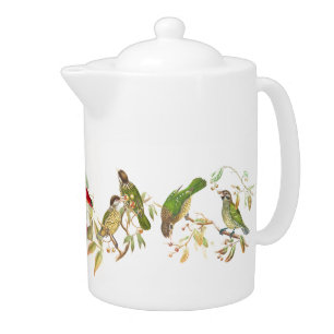 Sunbird Catbird Birds Wildlife Animals Teapot