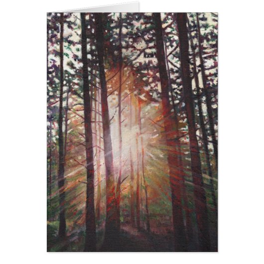 Sunburst 2010 cards (Front)