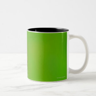 Sunburst above tiny ladybug climbing Two-Tone coffee mug