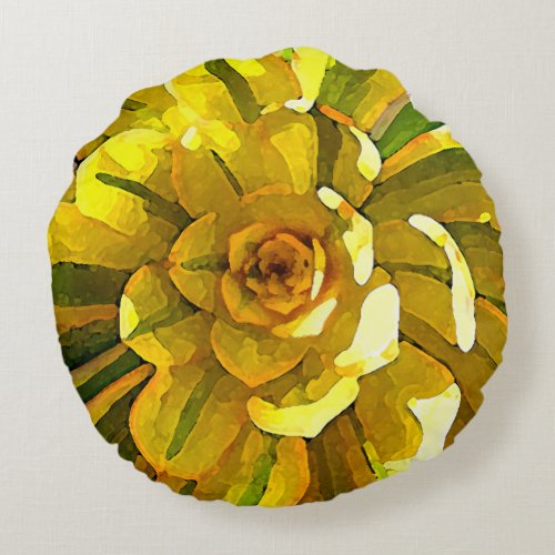 Sunburst Aeonium Succulent Square by Amy Vangsgard Round Pillow