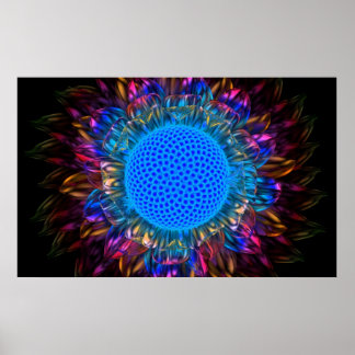 Sunburst Daisy (Inverted) Poster