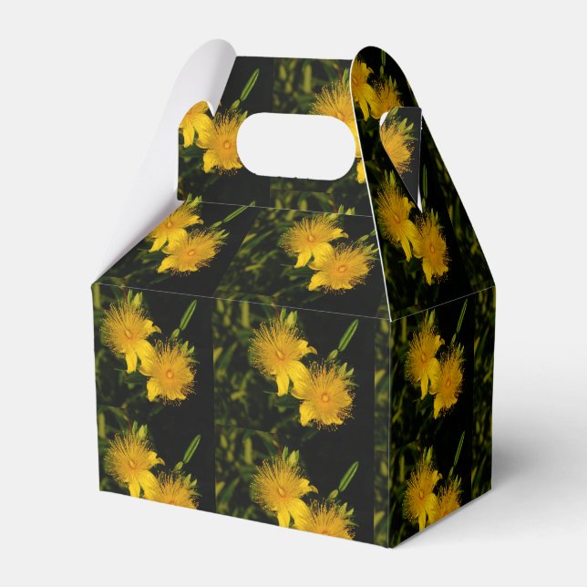 Sunburst Flowers Party Favor Box (Front Side)