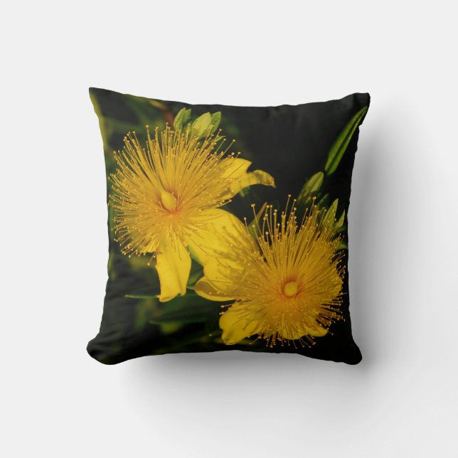 Sunburst Flowers Pillow (Front)