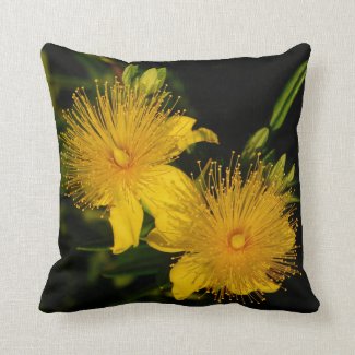 Sunburst Flowers Pillow