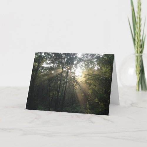 Sunburst in the Trees All Occasion Card Blank