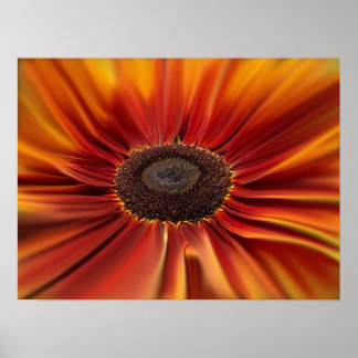 Sunburst Poster