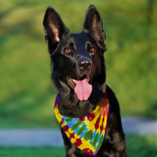 Sunburst Tie Dye Dog Pet Bandana Collar
