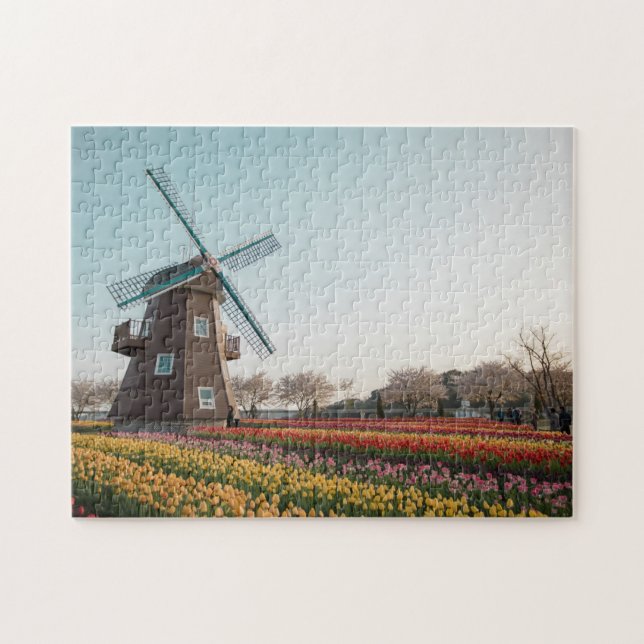 Suncheon Bay The Dutch Garden Windmill Tulip Jigsa Jigsaw Puzzle (Horizontal)