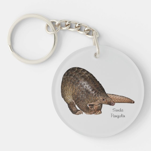 Sunda Pangolin Acrylic Key Chain (Front)