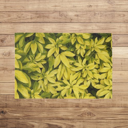 Sundance Mexican Orange Plant Floral Outdoor Rug