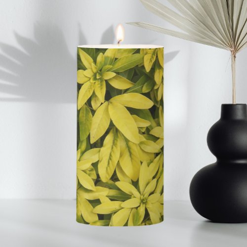 Sundance Mexican Orange Plant Floral Pillar Candle