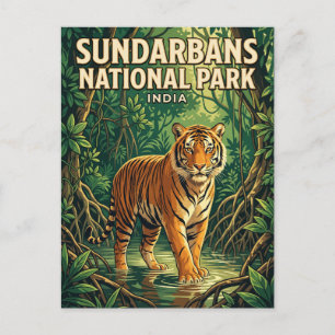 Sundarbans National Park India Postcard