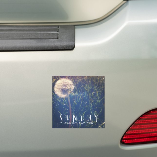 Sunday Family Eat Fun Car Magnet (In Situ)