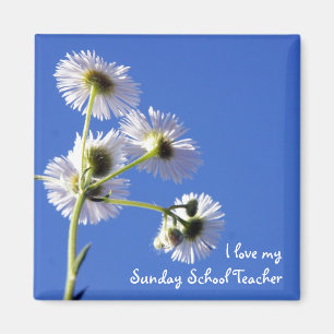 Sunday School Teacher Magnet
