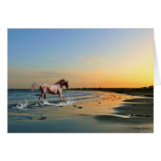 Sunderland - Seaburn Beach Cards