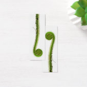 Sundew Frond Bookmark (Desk)