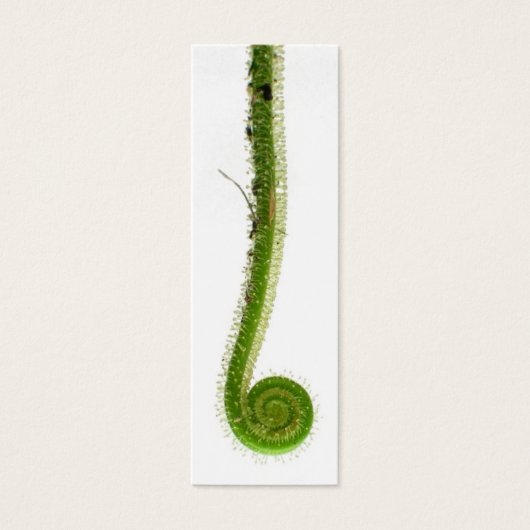 Sundew Frond Bookmark (Front)