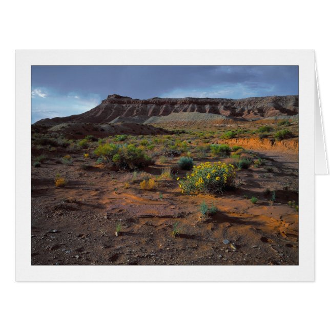 "Sundowner Plateau" Cards (Front Horizontal)